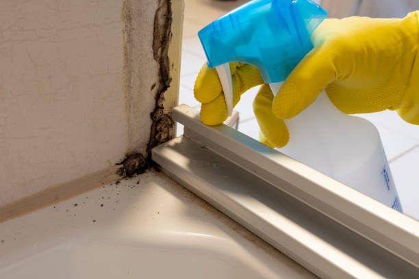 Best HVAC Mold Remediation in Comer, GA