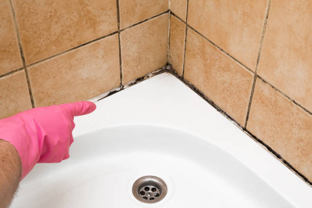 Best Residential Mold Remediation in Comer, GA